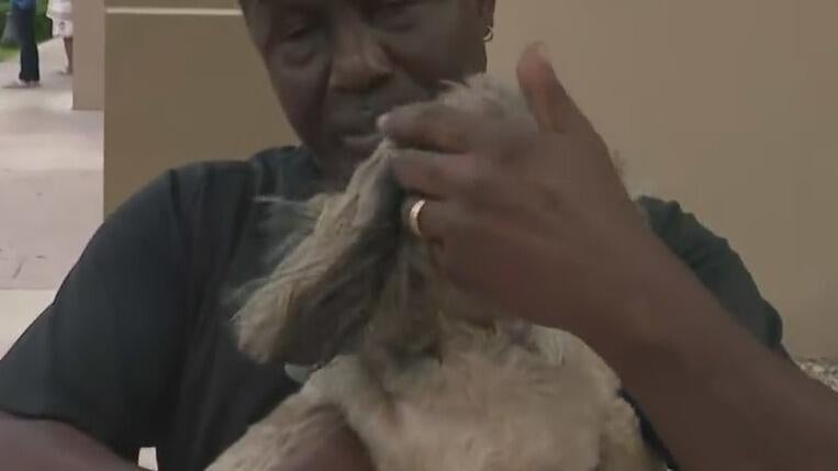 Man shoots neighbor's dog after attack on family pet in Brownsville ...