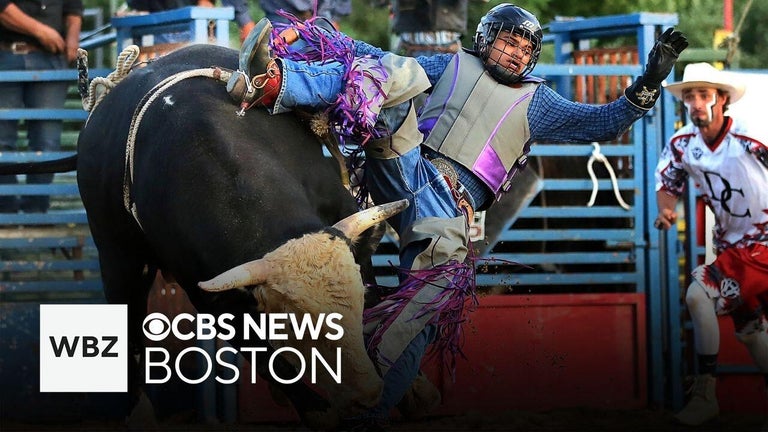 A rodeo in Massachusetts? Here's where you can find it. - CBS Boston