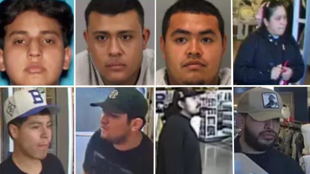 Wanted T.J. Maxx retail theft suspects 