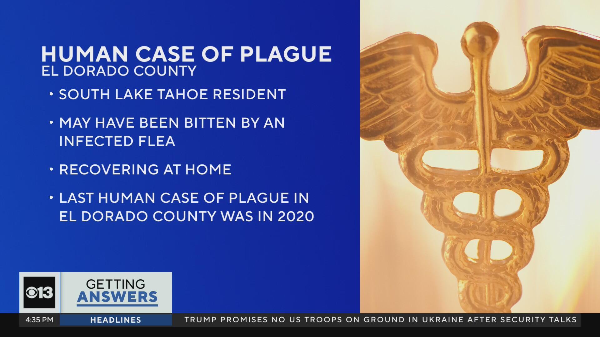 California resident in Lake Tahoe area tests positive for plague CBS(01)