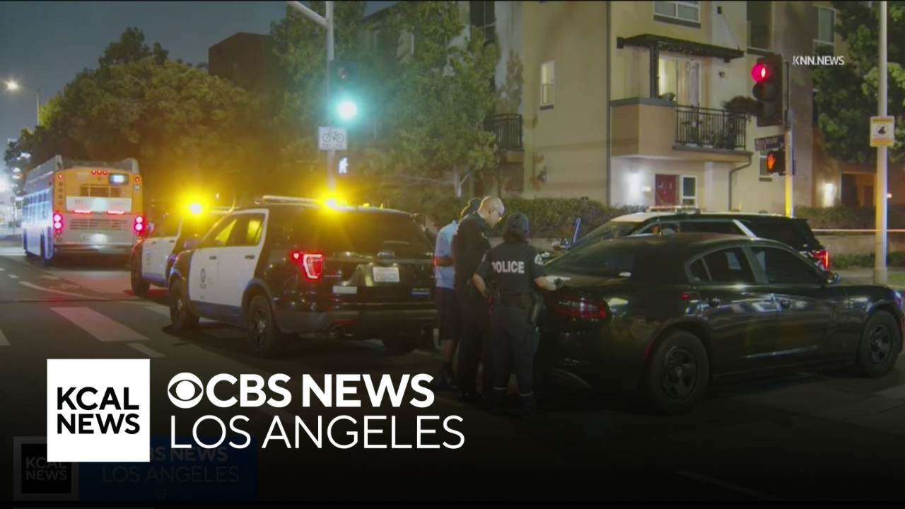 Woman fatally shot in South Los Angeles while breaking up fight on ...