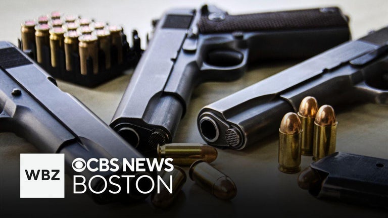 Massachusetts gun licensing law being challenged by New Hampshire as