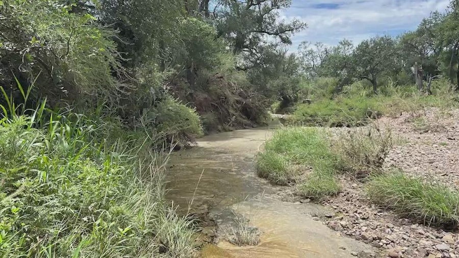Texas ranch owners raffling off 76-acre ranch for less than a steak ...