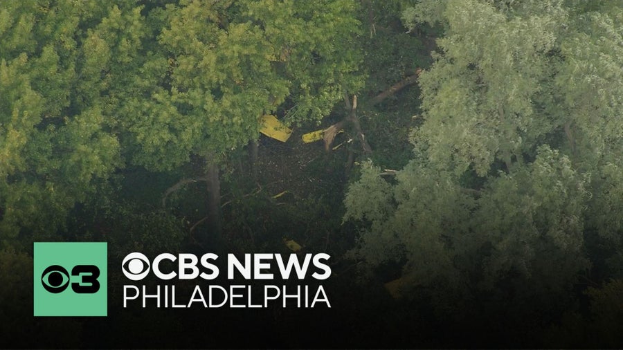 Picture of Plane crashes in Dover, Delaware; no injuries reported, state police ...