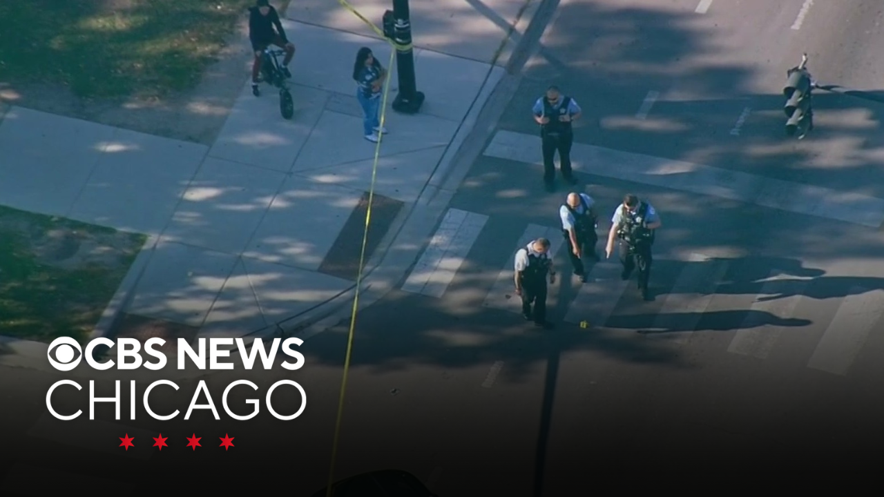 Man, 23, shot while inside vehicle in Albany Park neighborhood, police ...