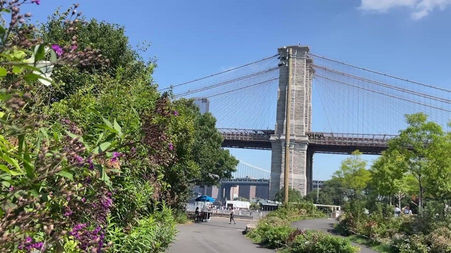 As Brooklyn Bridge Park marks 15 years, here's how it transformed NYC's waterfront - CBS New York
