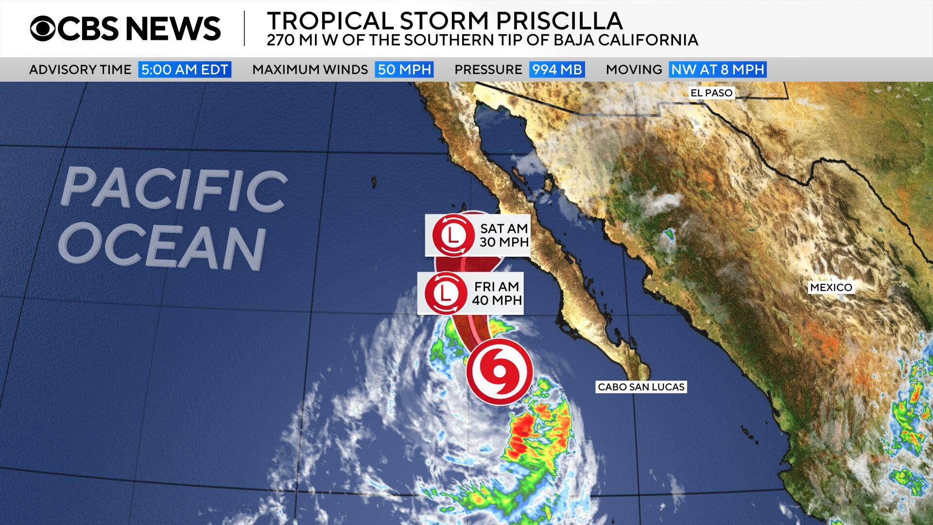 priscilla-cones-100925.jpg 