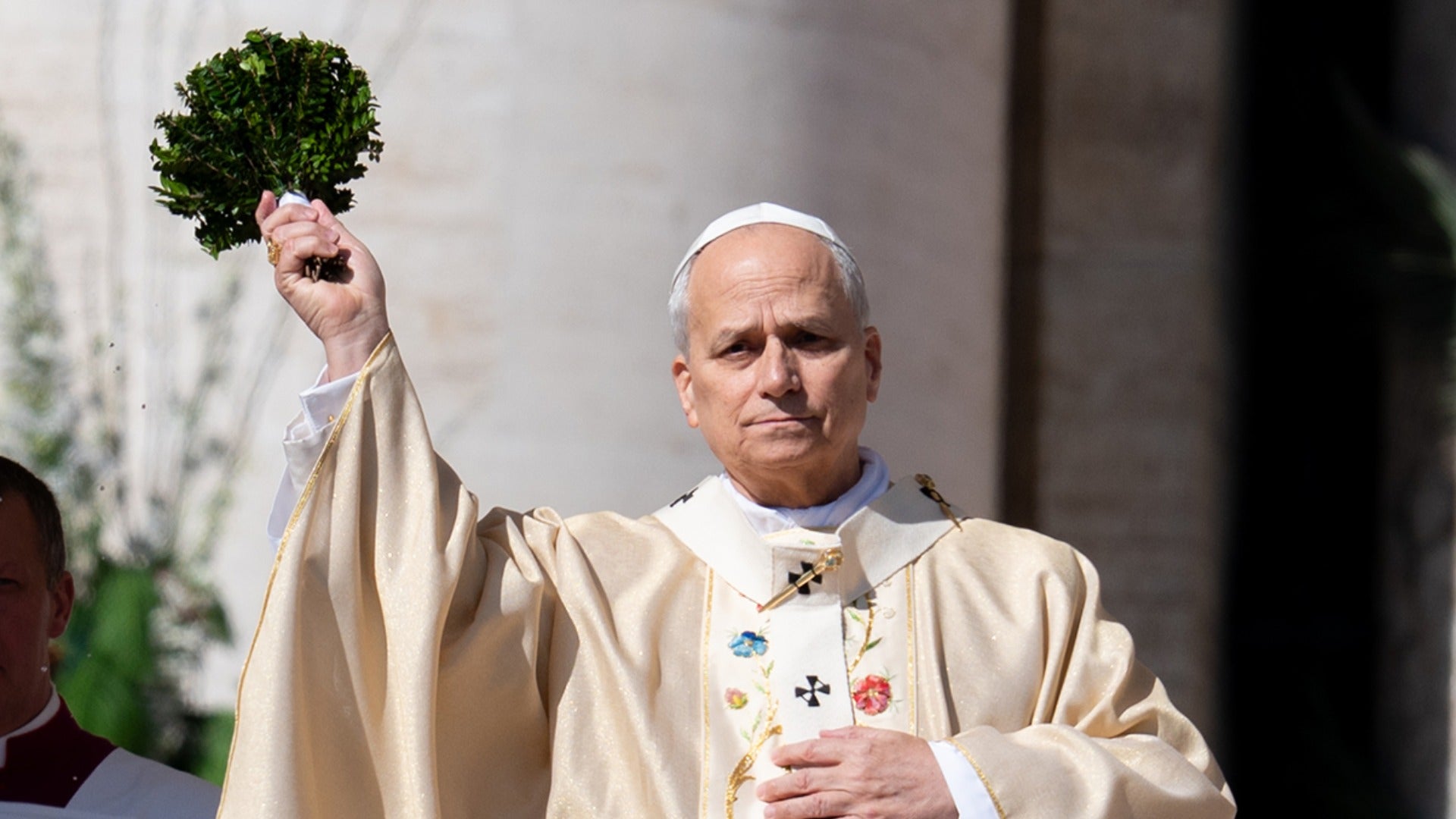 Pope Leo issues latest rebuke of Iran conflict: 