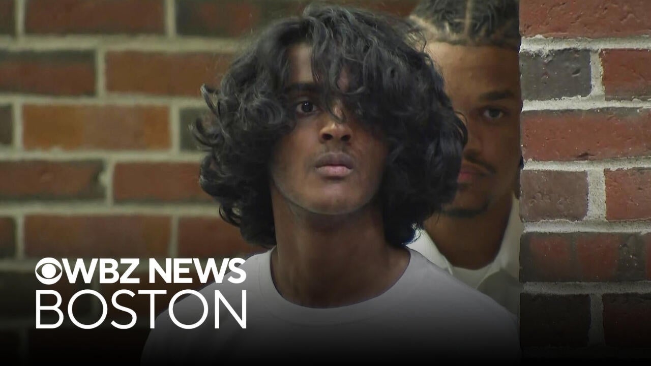 Acton teen held without bail in murders of mother, brother linked to ChatGPT
