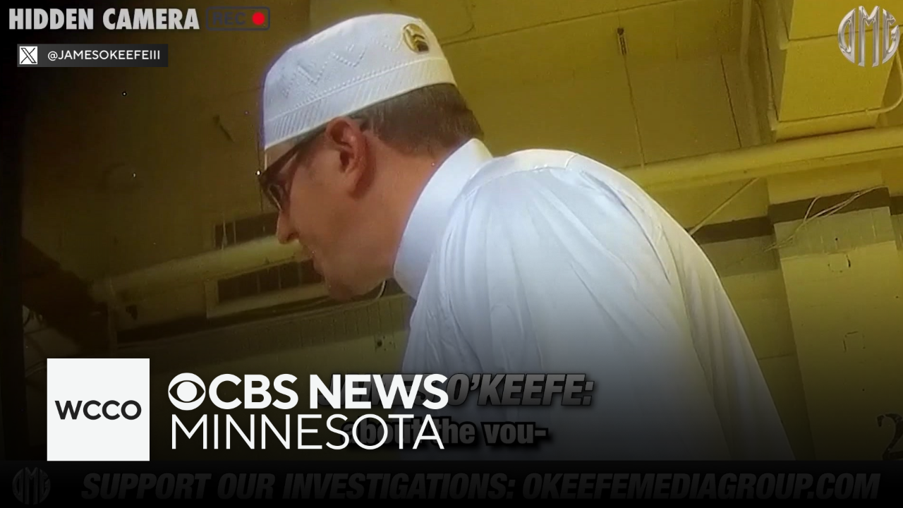Activists who posed as Minnesota voters during primary could be in legal trouble