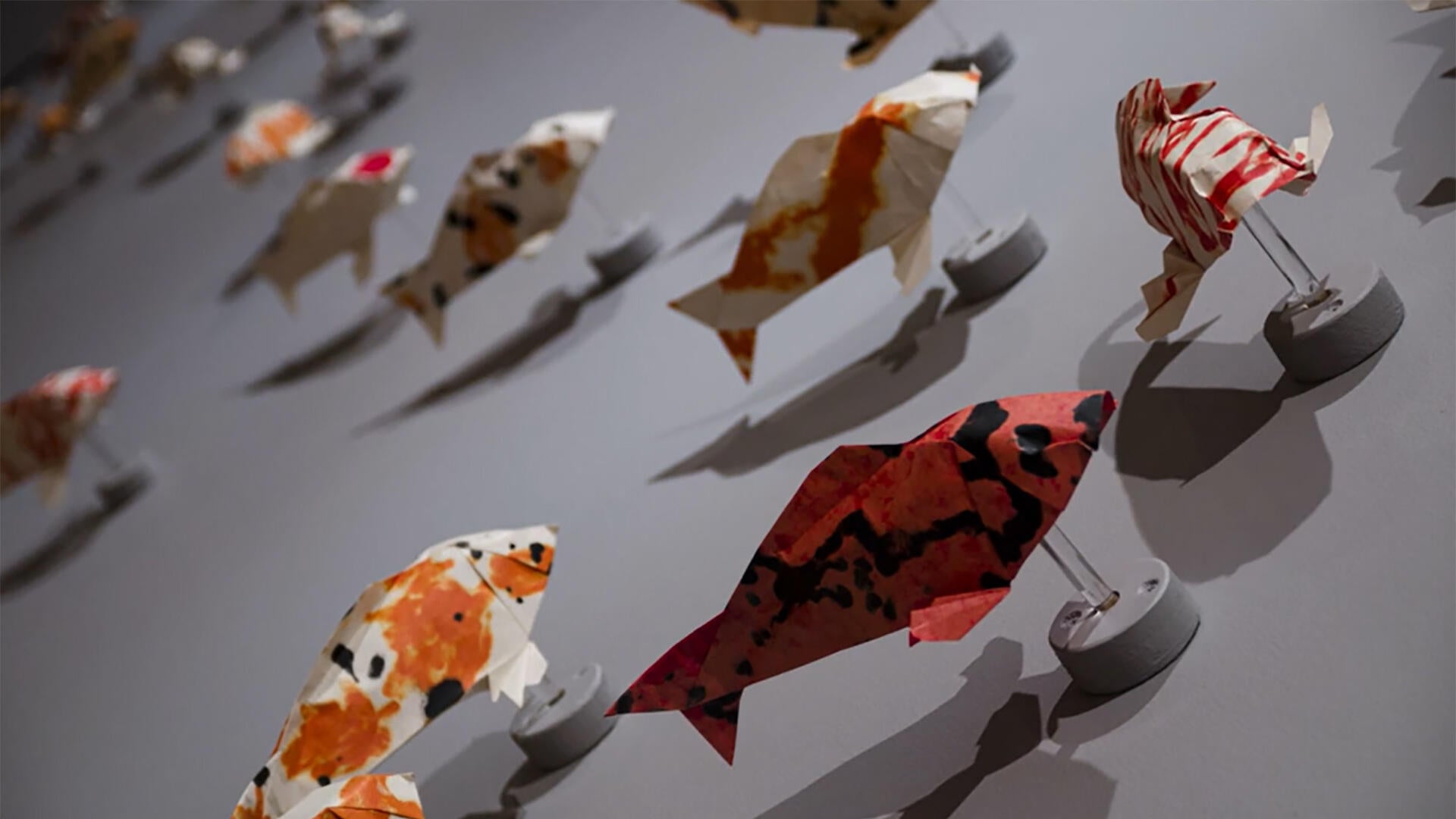 From the ashes arise origami koi