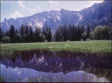 The Yosemite Murders