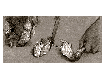 HOW TO CARVE A TURKEY 