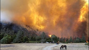 California 