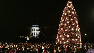 Light Up The Tree 