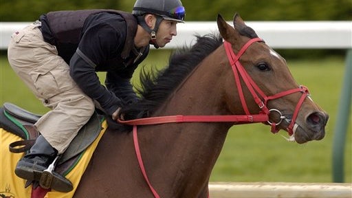 Afleet Alex 