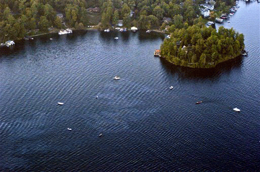 image898922.gif 