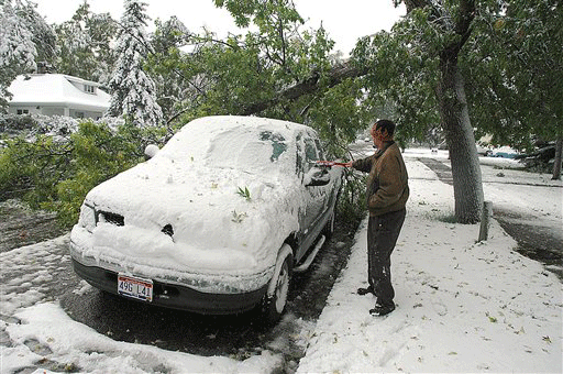 image917749.gif 