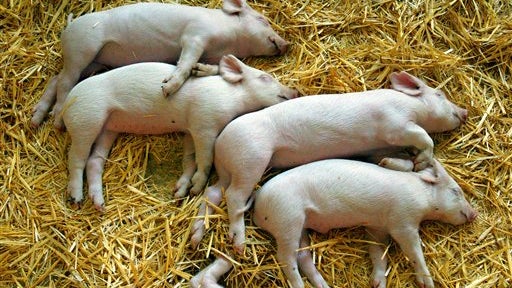All Asleep 