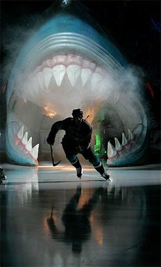 San Jose Sharks 