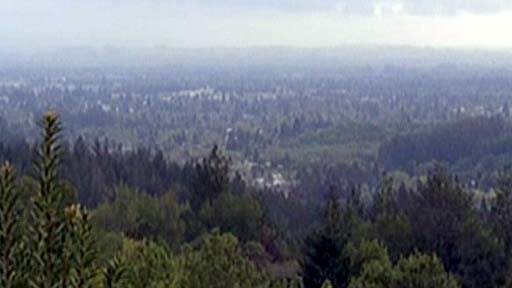 Santa Rosa, Calif. 