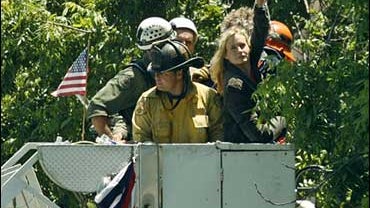 Daryl Hannah in Tree 