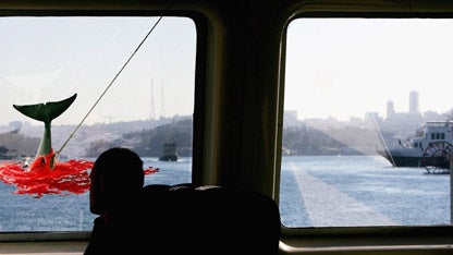 View To A Kill 