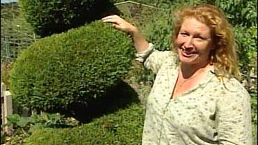 Plants that love heat, Charlie Dimmock 
