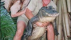 Steve Irwin of the TV show "The Crocodile Hunter" poses with his wife Terri while holding a nine-foot alligator at his "Australia Zoo," Beerwah, Queensland, Australia, June 18, 1999. 
