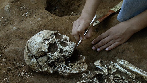 War Doesn't Rattle Bones 