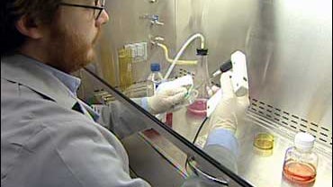 Stem Cell Research 