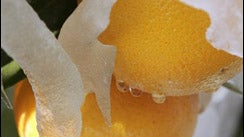 image2369688.jpg 