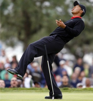 Tiger Woods 