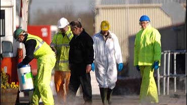 bird flu, avian flu, H5N1, turkey farm, England, Bernard Mathews 