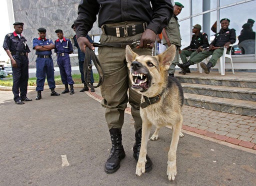 Election Results With Teeth? 