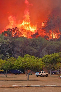 L.A. Wildfire 