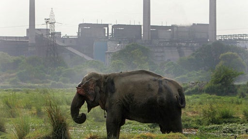 Big Homeless Problem? 