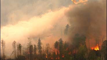 wildfire, Thunder Bay, Ontario 