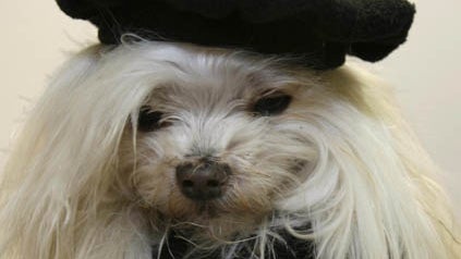 "I'd Rather Be In Paris" 