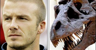 Who Runs Faster: Becks Or T-Rex? - CBS News