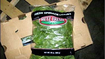 Metz Fresh Spinach 