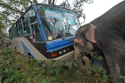 One ... Two ... Three ... Heave! 