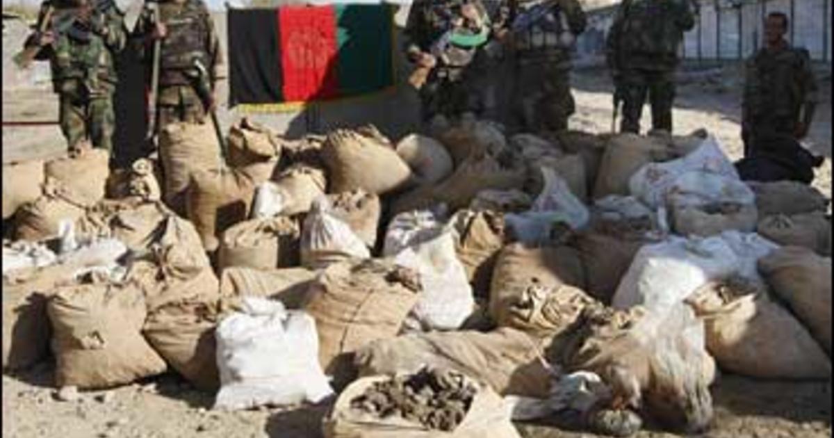 U.N.: Bumper Afghan Opium Crop This Year - CBS News