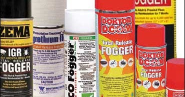 Bug Bombs Can Also Harm Humans CBS News