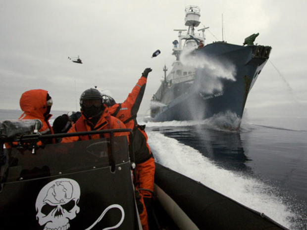 Antarctica Whaling Protest 