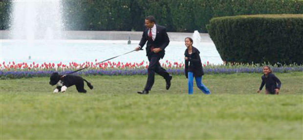 President Barack Obama, followed by daughters Malia and Sasha Obama, right, run with their 6-month-old Portuguese water dog named Bo on the South Lawn at the White House in Washington, Tuesday, April 14, 2009. (AP Photo/Charles Dharapak) 