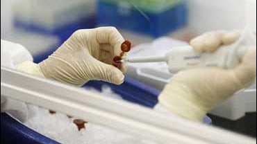 swine flu, generic, samples, lab 