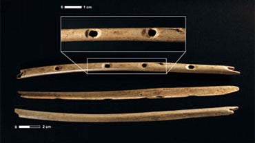 A team led by archaeologist Nicholas Conard assembled the flute from 12 pieces of griffon vulture bone scattered in a small plot of the Hohle Fels cave in southern Germany. 