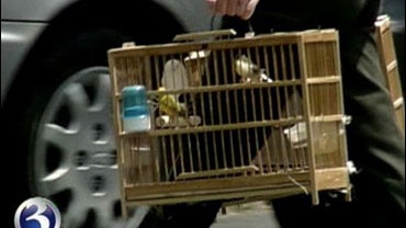 Connecticut authorities seized 150 birds in a house raid on an alleged bird-fighting ring. A spokesman said most of the confiscated birds were finches. 