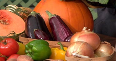 Harvesting Your Garden CBS News